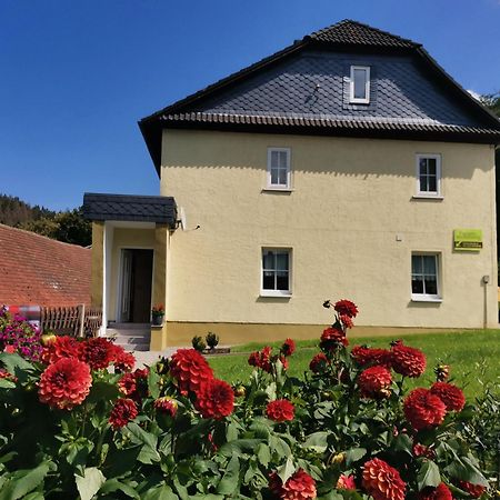 Ferienwohnung Paulinzella 9 Inklusive Parkplatz Und Wlan Zewnętrze zdjęcie
